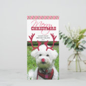 Rentier Antler & Red Nose Weihnachten Pet! (Stehend Vorderseite)