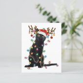 Rentier Black Cat Christmas Lights Funny Cat Liebe (Stehend Vorderseite)