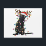 Rentier Black Cat Christmas Lights Funny Cat Liebe Magnetkarte<br><div class="desc">Rentier Black Cat Weihnachtslichter Funny Cat Lover Geschenke</div>