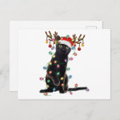 Rentier Black Cat Christmas Lights Funny Cat Liebe Postkarte (Vorne/Hinten)
