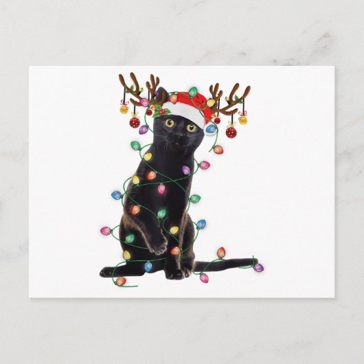 Rentier Black Cat Christmas Lights Funny Cat Liebe Postkarte (Vorderseite)
