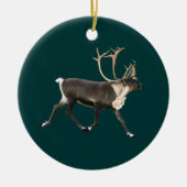 Rentier - Bull Caribbean Keramikornament (Vorne)