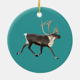 Rentier - Bull Caribbean Keramikornament