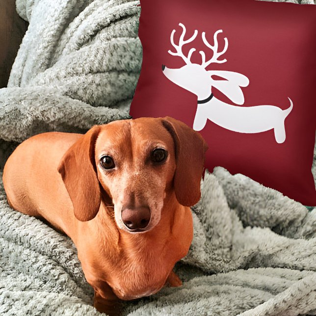 Rentier Dackel Kissen auf Rot (Dachshund Christmas Pillow - weendeer dachshund for wiener dog families!)