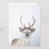 Rentier-Foto Dankeskarte (Vorne/Hinten)