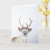 Rentier Foto Karte (Gelbe Blume)