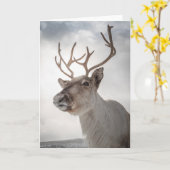 Rentier Foto Karte (Gelbe Blume)