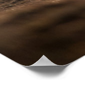 Rentier Foto Poster (Ecke)