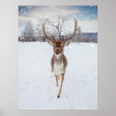 Rentier Foto Poster (Vorne)
