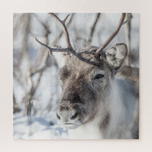 Rentier Foto Puzzle (Vertikal)