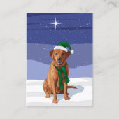 Rentier gibt Rabbit Snowman Carrot Nose Visitenkarte (Vorderseite)