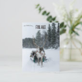 Rentier in Kittilä Lapland Finnland Postkarte (Stehend Vorderseite)