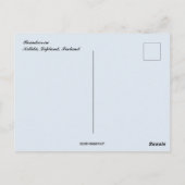 Rentier in Kittilä Lapland Finnland Postkarte (Rückseite)