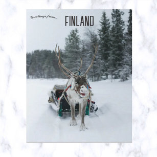 Rentier in Kittilä Lapland Finnland Postkarte