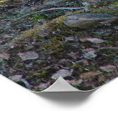 Rentier in Lappland Poster (Ecke)