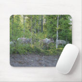 Rentier in Lapplandmousepad Mousepad (Mit Mouse)