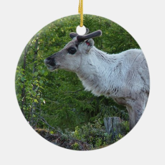 Rentier in Lapplandschmuck Keramik Ornament (Hinten)