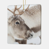 Rentier in norwegischem Foto Keramikornament (Links)