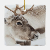 Rentier in norwegischem Foto Keramikornament (Rückseite)