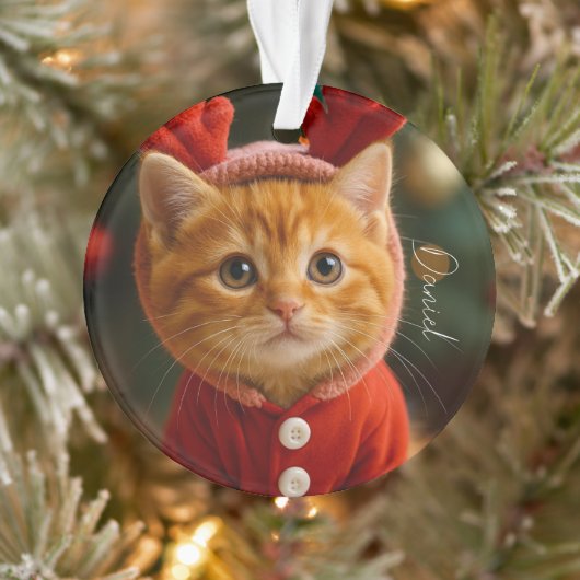 Rentier Kätzchen Ornament (Baum)