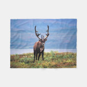 Rentier | Nationalpark Denali, Alaska Fleecedecke (Vorderseite (Horizontal))