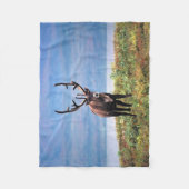 Rentier | Nationalpark Denali, Alaska Fleecedecke (Vorderseite)