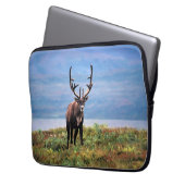 Rentier | Nationalpark Denali, Alaska Laptopschutzhülle (Vorderseite Links)