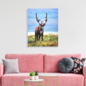 Rentier | Nationalpark Denali, Alaska Leinwanddruck (Insitu (Wohnzimmer))