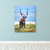 Rentier | Nationalpark Denali, Alaska Leinwanddruck (Insitu (Holzboden))