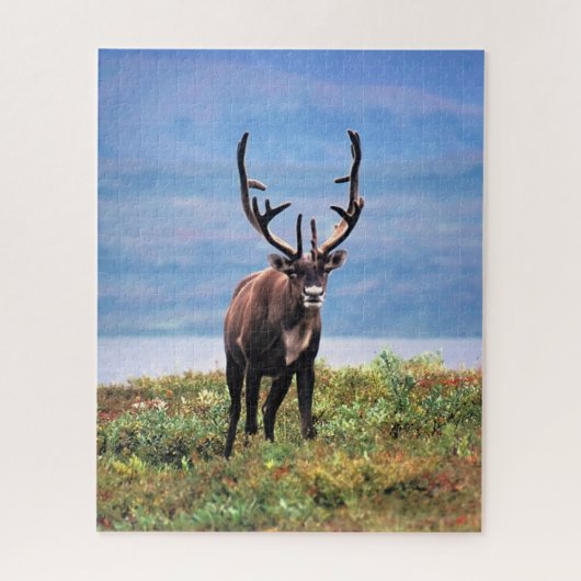 Rentier | Nationalpark Denali, Alaska Puzzle (Vertikal)