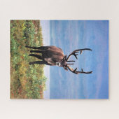 Rentier | Nationalpark Denali, Alaska Puzzle (Horizontal)