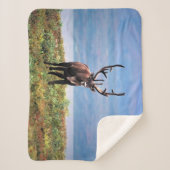 Rentier | Nationalpark Denali, Alaska Sherpadecke (Vorderseite)