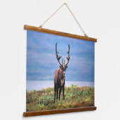 Rentier | Nationalpark Denali, Alaska Wandteppich Mit Holzrahmen (Gewinkelt)