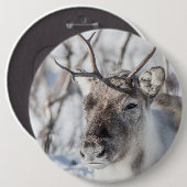 Rentier Nature Foto Button (Vorne & Hinten)