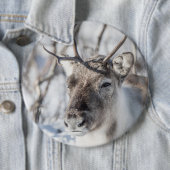 Rentier Nature Foto Button (Beispiel)
