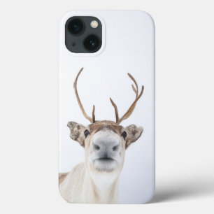 Rentier Nature Foto Case-Mate iPhone Hülle