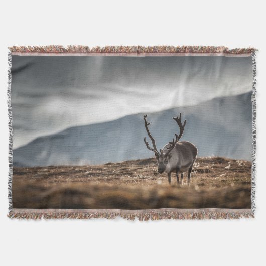 Rentier Nature Foto Decke (Vorderseite)