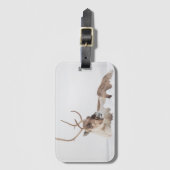 Rentier Nature Foto Gepäckanhänger (Vorderseite Vertikal)