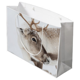 Rentier Nature Foto Große Geschenktüte