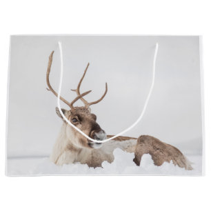 Rentier Nature Foto Große Geschenktüte