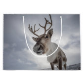 Rentier Nature Foto Große Geschenktüte (Vorderseite)