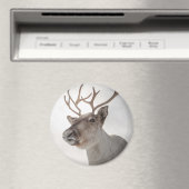 Rentier Nature Foto Magnet (In Situ (Geschirrspüler))