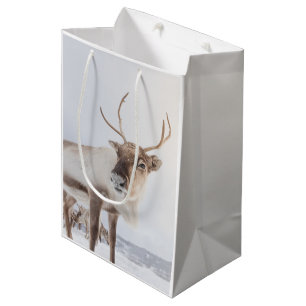 Rentier Nature Foto Mittlere Geschenktüte
