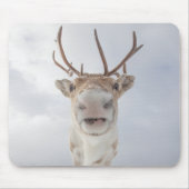 Rentier Nature Foto Mousepad (Vorne)