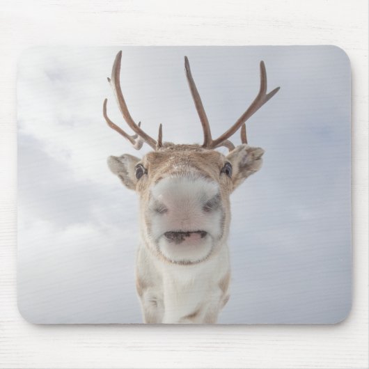 Rentier Nature Foto Mousepad (Vorne)
