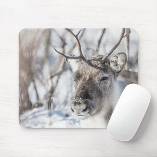 Rentier Nature Foto Mousepad (Mit Mouse)