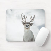 Rentier Nature Foto Mousepad (Mit Mouse)