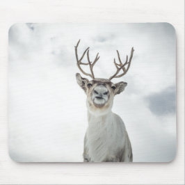 Rentier Nature Foto Mousepad