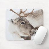 Rentier Nature Foto Mousepad (Mit Mouse)