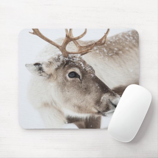 Rentier Nature Foto Mousepad (Mit Mouse)
